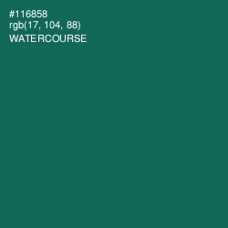 #116858 - Watercourse Color Image