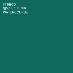#11695D - Watercourse Color Image