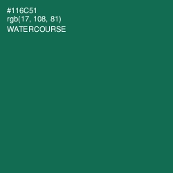 #116C51 - Watercourse Color Image