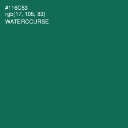 #116C53 - Watercourse Color Image