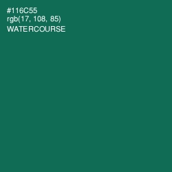 #116C55 - Watercourse Color Image