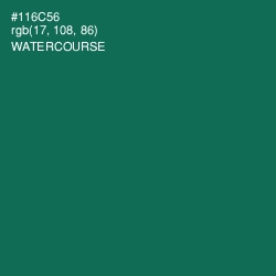 #116C56 - Watercourse Color Image