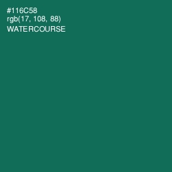 #116C58 - Watercourse Color Image