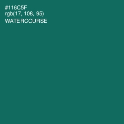 #116C5F - Watercourse Color Image