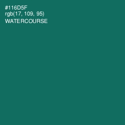 #116D5F - Watercourse Color Image