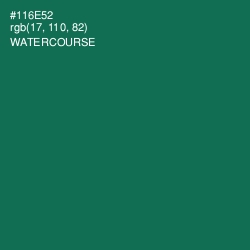 #116E52 - Watercourse Color Image