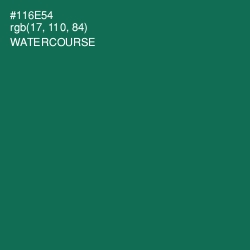 #116E54 - Watercourse Color Image