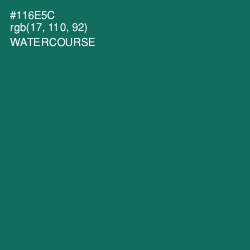 #116E5C - Watercourse Color Image