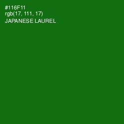 #116F11 - Japanese Laurel Color Image