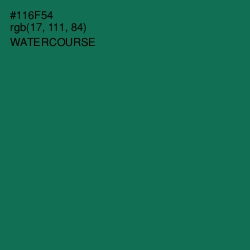 #116F54 - Watercourse Color Image