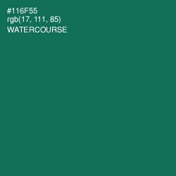 #116F55 - Watercourse Color Image