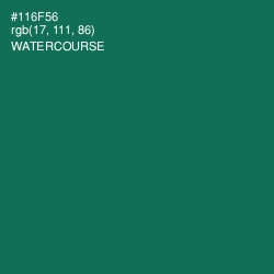 #116F56 - Watercourse Color Image