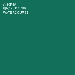 #116F5A - Watercourse Color Image