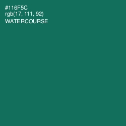 #116F5C - Watercourse Color Image