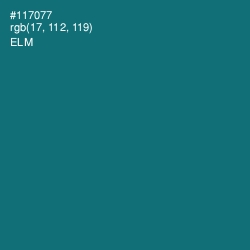 #117077 - Elm Color Image