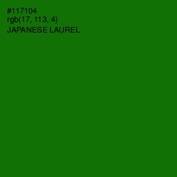 #117104 - Japanese Laurel Color Image