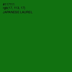 #117111 - Japanese Laurel Color Image