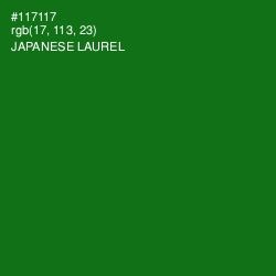 #117117 - Japanese Laurel Color Image