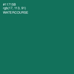 #11715B - Watercourse Color Image