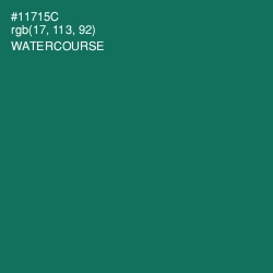 #11715C - Watercourse Color Image