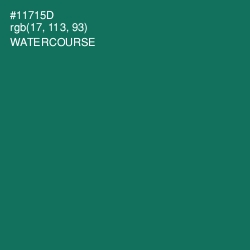 #11715D - Watercourse Color Image