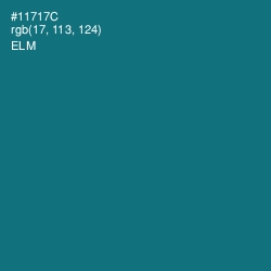 #11717C - Elm Color Image