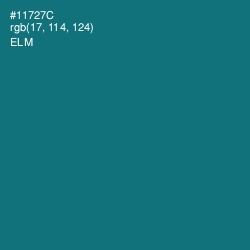 #11727C - Elm Color Image