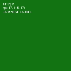#117311 - Japanese Laurel Color Image