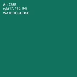 #11735E - Watercourse Color Image