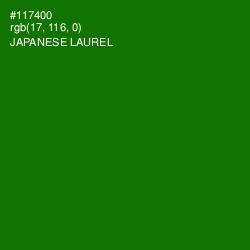 #117400 - Japanese Laurel Color Image