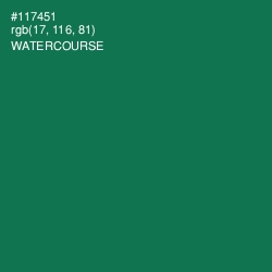 #117451 - Watercourse Color Image
