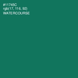 #11745C - Watercourse Color Image