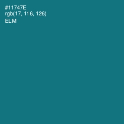 #11747E - Elm Color Image