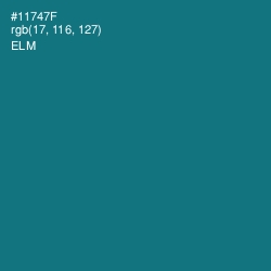 #11747F - Elm Color Image