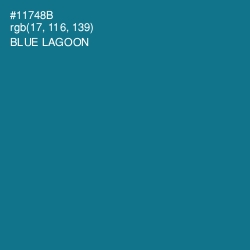 #11748B - Blue Lagoon Color Image