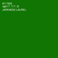 #117503 - Japanese Laurel Color Image