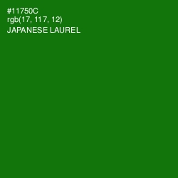 #11750C - Japanese Laurel Color Image