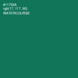 #11755A - Watercourse Color Image