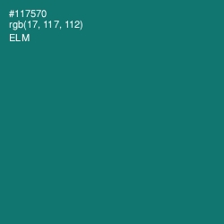 #117570 - Elm Color Image