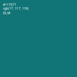 #117577 - Elm Color Image