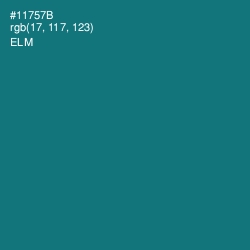 #11757B - Elm Color Image