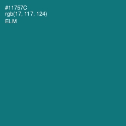 #11757C - Elm Color Image