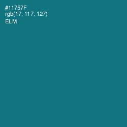 #11757F - Elm Color Image