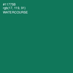 #11775B - Watercourse Color Image