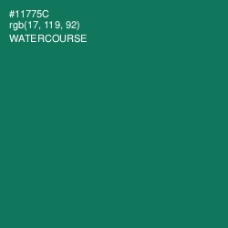 #11775C - Watercourse Color Image