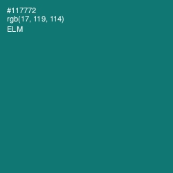 #117772 - Elm Color Image