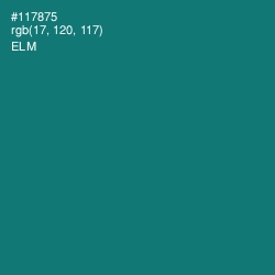 #117875 - Elm Color Image