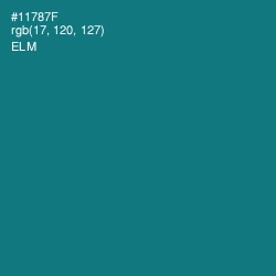 #11787F - Elm Color Image