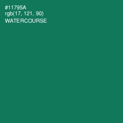 #11795A - Watercourse Color Image