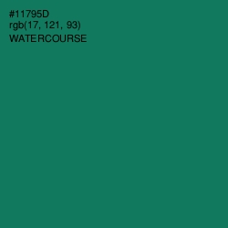 #11795D - Watercourse Color Image